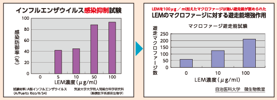 LEM シイタケ菌糸体培養培地抽出物（製法特許 No. 1957839）