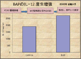 BAP 植物性多糖反応抽出物  bb