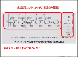 SCP コンドロイチン硫酸タンパク複合体