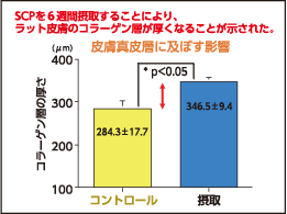 SCP コンドロイチン硫酸タンパク複合体