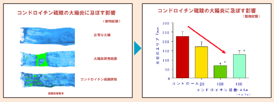 SCP コンドロイチン硫酸タンパク複合体